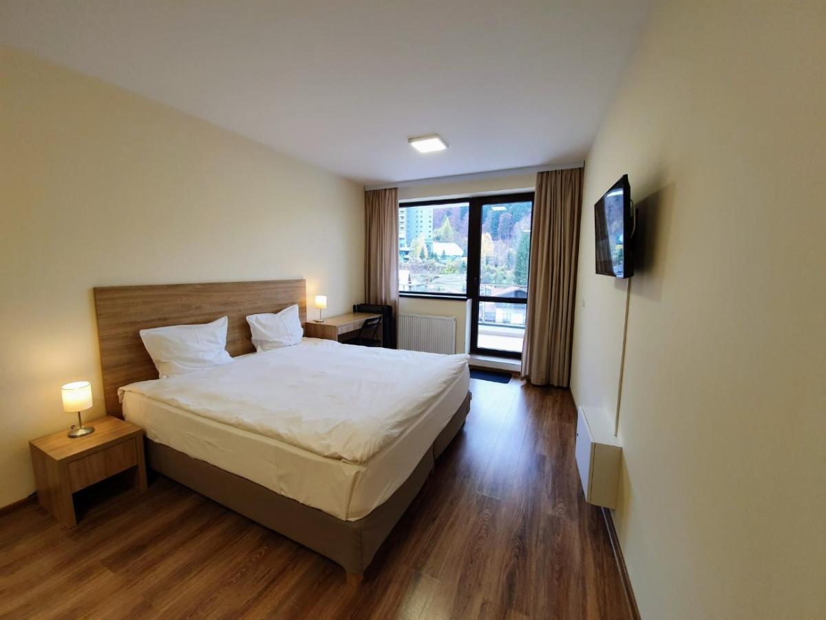 Studio Mountain View Синая Екстериор снимка