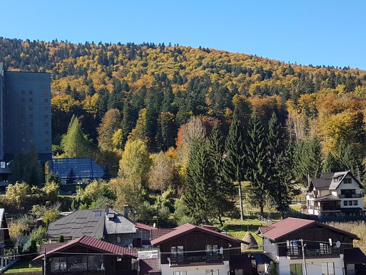 Studio Mountain View Синая Екстериор снимка